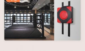 拳击训练器材_在家高效练拳必备