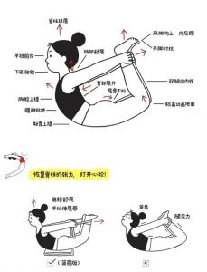 拉动作时肩关节向后做什么动作_肩部拉伸防损伤，运动好习惯