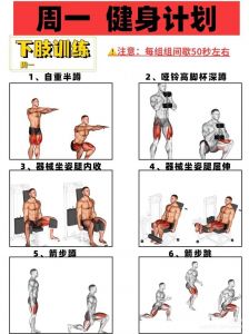 大圆肌小圆肌训练方法_大圆肌练出好体态，推胸划船器械都行