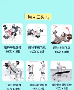 三点式锻炼，强腰背，缓解酸痛