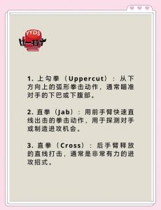 格斗基本功动作要领_直拳转腰蹬地，摆拳圆融肘位，勾拳近身要害，踢法各显神通！