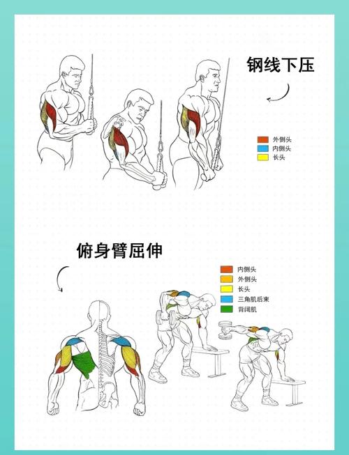 肌张力训练10个动作_10动作改善身体机能 肌张力训练10个动作_10动作改善身体机能