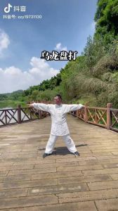 仆步的正确姿势照片_仆步练平衡 柔韧又强身