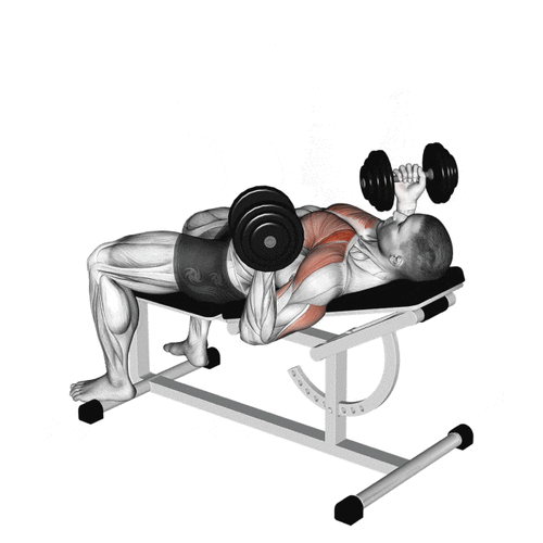 卧姿哑铃推胸标准动作_哑铃卧推选对凳子要领