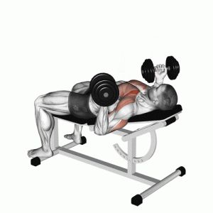 卧姿哑铃推胸标准动作_哑铃卧推选对凳子要领