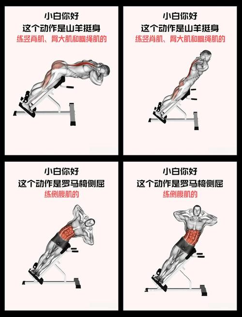 上身核心强化力量训练法_10分钟核心训练，跑得更快更稳！