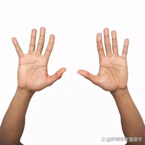 两手平举是什么动作_平举运动好处多,肩臂拉伸要适度 两手平举是什么动作_平举运动好处多,肩臂拉伸要适度