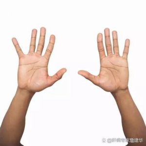 两手平举是什么动作_平举运动好处多，肩臂拉伸要适度