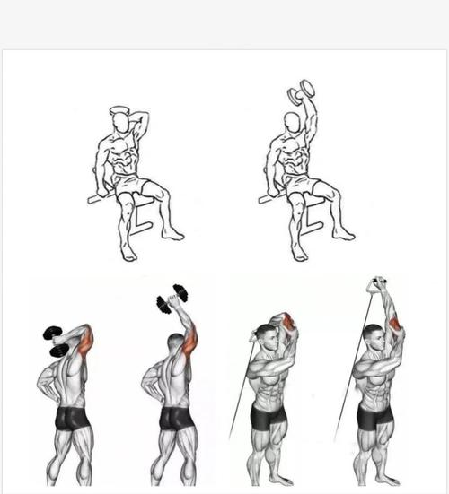 颈后哑铃臂屈伸动作_哑铃颈后臂屈伸练肱三头肌 颈后哑铃臂屈伸动作_哑铃颈后臂屈伸练肱三头肌