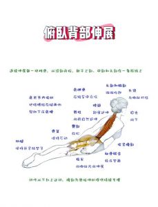 最伟大拉伸动作讲解_全身热身，缓解紧绷