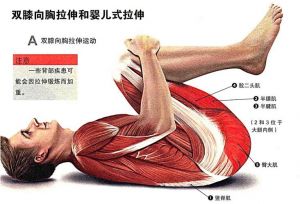 练竖脊肌的50个动作_久坐腰痛？30天竖脊肌训练改善体态