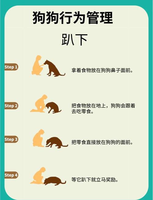 本能训练法是一种法则_唤醒身体本能，提升运动表现