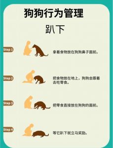 本能训练法是一种法则_唤醒身体本能，提升运动表现