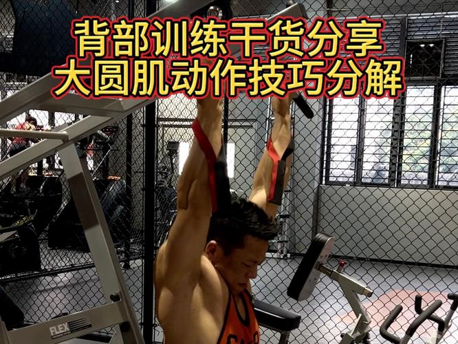 大圆肌锻炼方法_拉伸训练营养姿势全攻略 大圆肌锻炼方法_拉伸训练营养姿势全攻略
