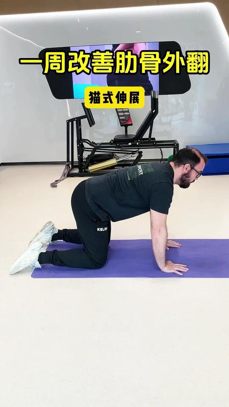 跪拉肩动作要领_跪拉肩练肩背，注意手腕膝盖防疼痛