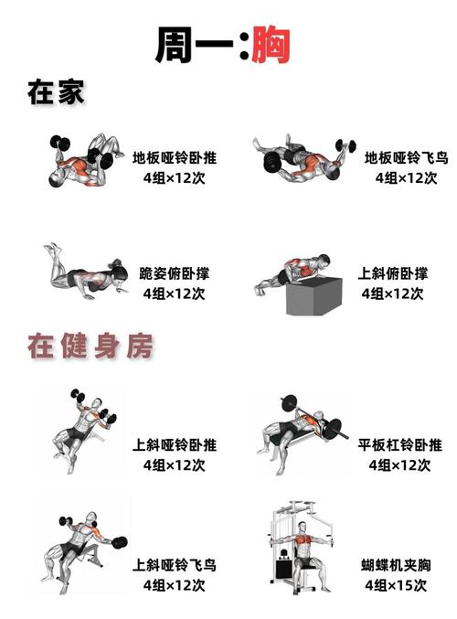 七大身体素质训练方法_提升平衡防跌倒，多样训练强体质！