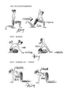 骨盆前倾的锻炼方法_骨盆前倾？练这几个动作就对了！