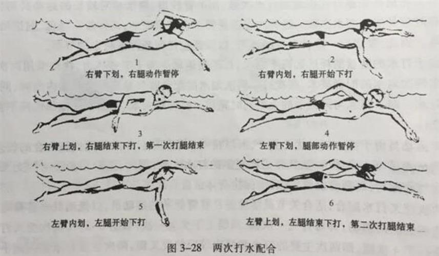 爬泳滑臂动作可以分为_入水抱水划水出水移臂,划水是核心 爬泳滑臂动作可以分为_入水抱水划水出水移臂,划水是核心
