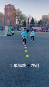 肢体协调能力训练_平衡反应器械训练全攻略