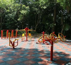 公共健身设施有哪些_社区健身设施多，满足健身需求，安全使用