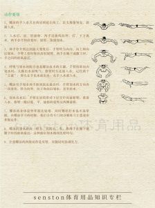爬泳滑臂动作可以分为四个环节_高效爬泳关键