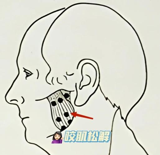 下颌紊乱最怕三个动作_下颌紊乱注意这些动作会加重