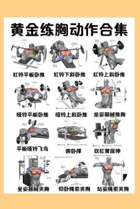 胸大肌上部训练方法_练上胸，突出V线！精准动作幅度是关键