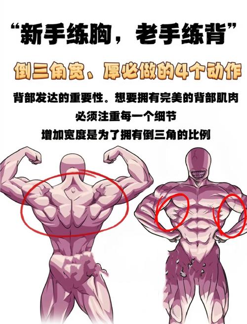 倒蹬练哪里的肌肉_倒蹬机练腿臀,姿势安全很重要! 倒蹬练哪里的肌肉_倒蹬机练腿臀,姿势安全很重要!