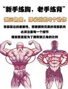 倒蹬练哪里的肌肉_倒蹬机练腿臀，姿势安全很重要！