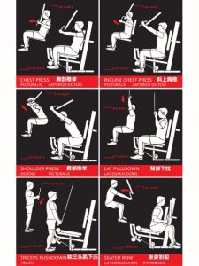 双侧高低拉训练器使用方法_高低拉器械调整姿势，避免损伤提升效果