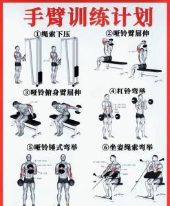 用手撑的地能锻炼臂吗_手撑地锻炼臂力，俯卧撑练胸肌