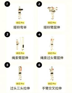 整体协调性训练方法_多运动多练习