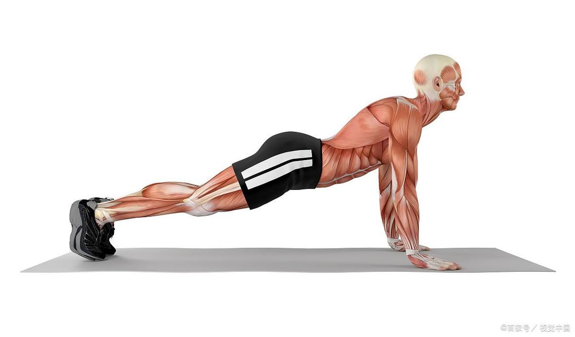 练平板支撑能练出腹肌吗_平板支撑练出马甲线，姿势标准低体脂