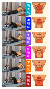 8分钟15个动作练腹肌_15动作燃脂增肌训练计划