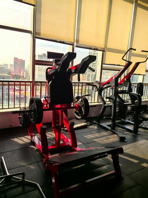 练深蹲的健身器材叫什么_哈克史密斯深蹲机选哪个？