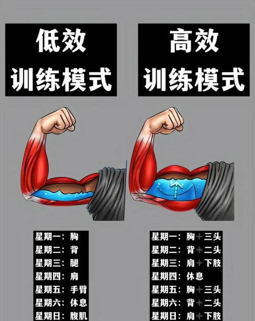 大圆肌训练动作_坐姿下拉练大圆肌，臂屈伸注意沉臀夹肘