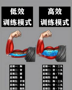 大圆肌训练动作_坐姿下拉练大圆肌，臂屈伸注意沉臀夹肘