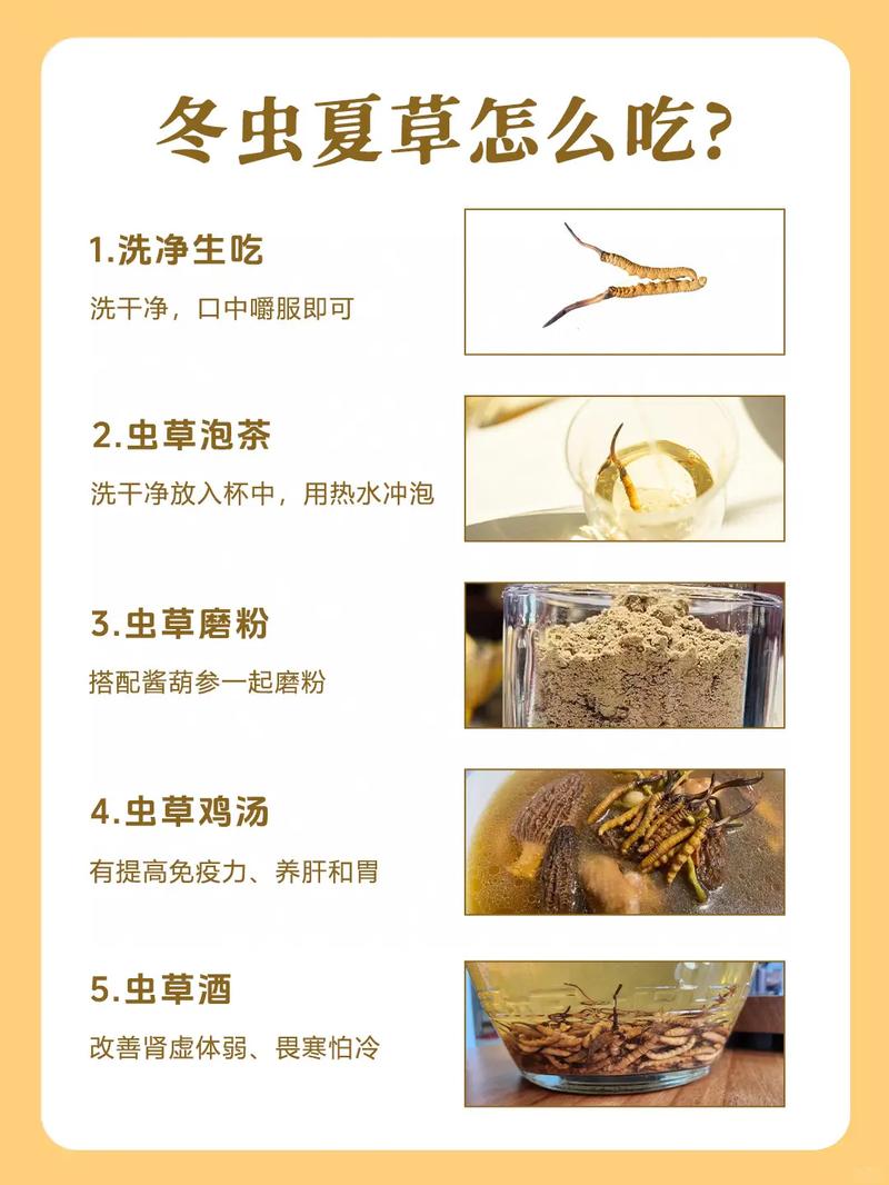 冬虫夏草护肤品的正确使用方法_冬虫夏草面霜抗衰提亮，选对质地勤按摩！