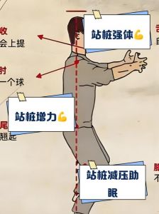 小狼肌肉打桩最简单三个步骤_精准打桩保质量，腹肌训练需规范