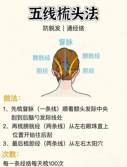 梳子按摩头部的正确方法_护发减压，简单健康