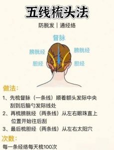 梳子按摩头部的正确方法_护发减压，简单健康