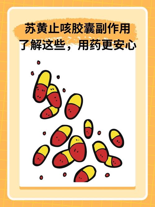 苏黄止咳最佳搭配_苏黄止咳配食疗，润肺止咳好帮手