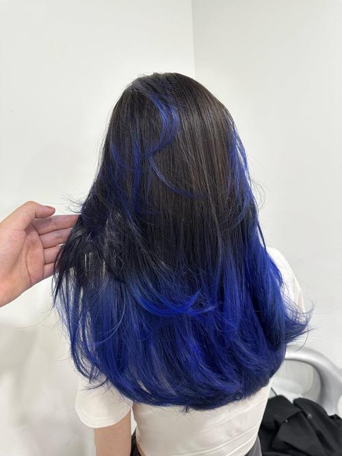 紫蓝色头发_时尚蓝紫色发色，神秘迷人不易褪色