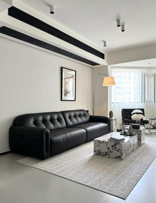 黑沙发的三个最佳配色_白米蓝,提升家居格调 黑沙发的三个最佳配色_白米蓝,提升家居格调