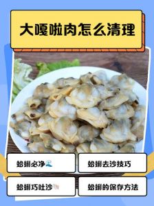 扇贝肉清洗最简单三个步骤_新鲜扇贝清洗技巧，去沙保味做法分享