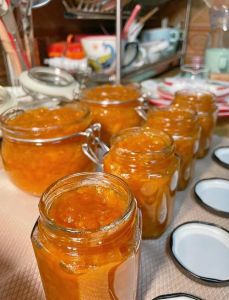 枇杷膏的正确食用方法_枇杷膏以老枇杷叶为主，需适量服用