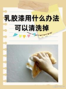去乳胶漆的最佳方法_干湿不同材，安全环保除