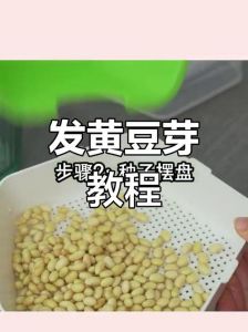 生黄豆芽的正确方法_泡发催芽全攻略，健康美味易上手！