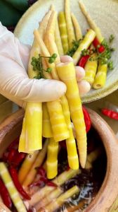 生竹笋的正确泡发方法_鲜嫩爽脆易储存