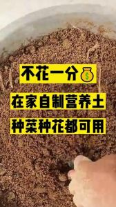 木屑做营养土最简单的方法_发酵锯末做营养土，疏松保肥好帮手